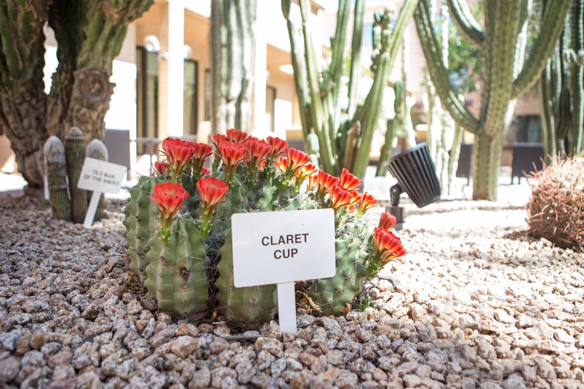 Courtyard By Marriott Phoenix Mesa Exterior photo